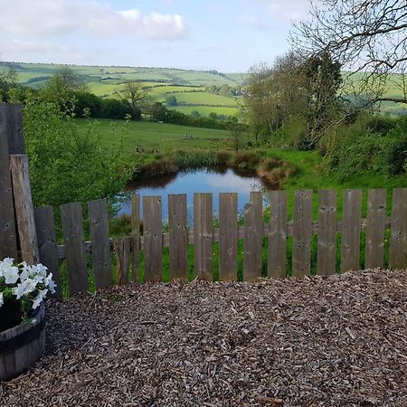 Eco Accommodation Cornflower Holiday Craven Arms Εξωτερικό φωτογραφία