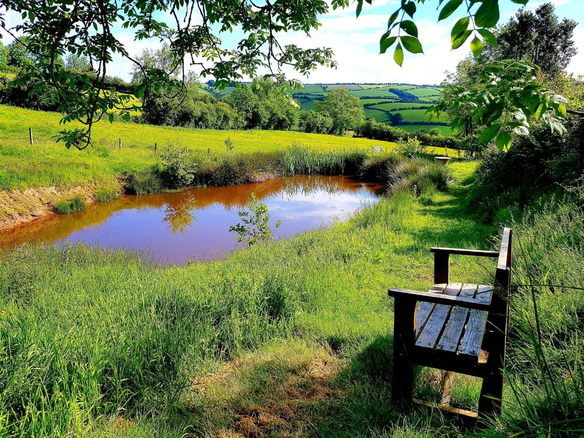Eco Accommodation Cornflower Holiday Craven Arms Εξωτερικό φωτογραφία